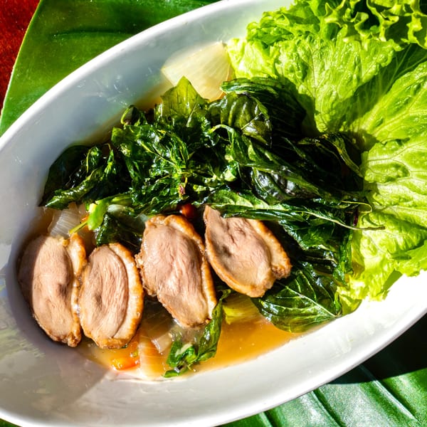 Thailicious' Thai duck dish with sliced duck, basil, onions, and lettuce in a white bowl.